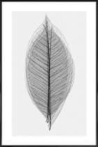 JUNIQE - Poster in kunststof lijst Skeleton of a Leaf -20x30 /Wit &