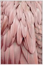 JUNIQE - Poster met kunststof lijst Pastel Feathers -13x18 /Roze