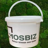 MosBiz | Mos| Lijm |5kg| Decoratie| Hobby | Knutselen | Plakken