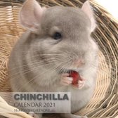 Chinchilla Calendar 2021