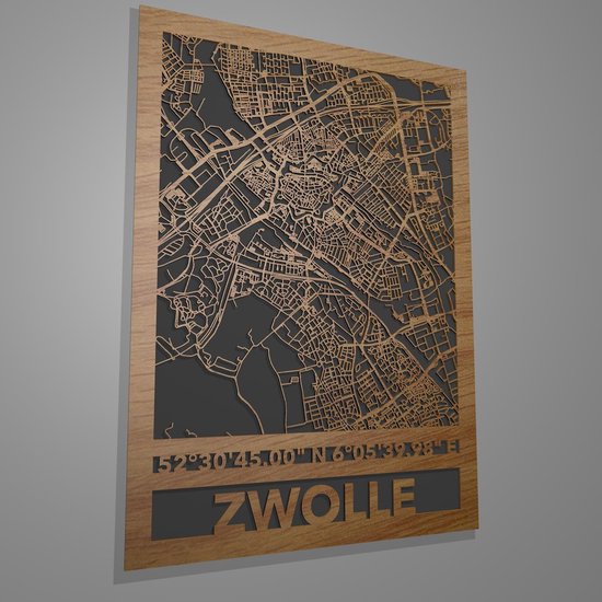 Stadskaart Zwolle met coördinaten