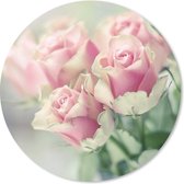 Muismat Roze roos - Roze rozen schijnen in het felle zonlicht Muismat rond - 20x20 cm - Muismat met foto