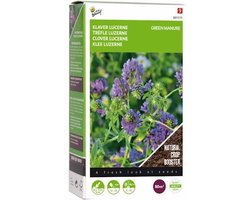 Buzzy Groenbemester Klaver Lucerne 200g