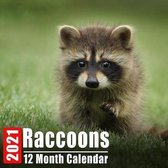 Calendar 2021 Raccoons