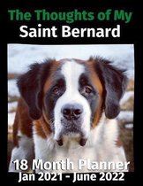 The Thoughts of My Saint Bernard