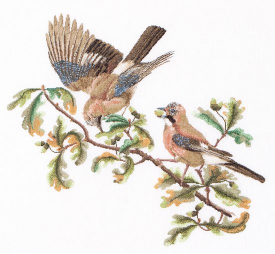 Thea Gouverneur - Borduurpakket met telpatroon - 2022 - Voorgesorteerde DMC Garens - Vlaamse Gaai - Linnen - 50 cm x 56 cm - DIY Kit