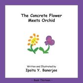 Concrete Flower-The Concrete Flower Meets Orchid