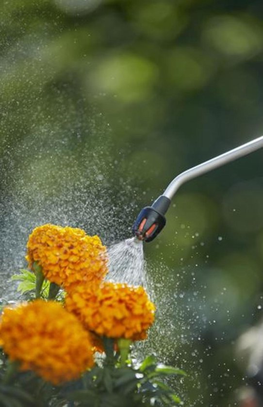 Spuitlans geeft waternevel af aan feloranje bloemen in de tuin.