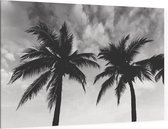 2 Palmbomen zwart wit - Foto op Canvas - 150 x 100 cm