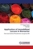 Application of Immobilized Laccase in Bioreactor