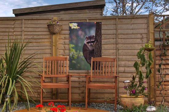 Tuinposter 40x60 cm - Tuindecoratie Wasbeer - Boom - Natuur - Poster voor in de tuin - Buiten decoratie - Schutting tuinschilderij - Tuindoek muurdecoratie - Wanddecoratie balkondoek