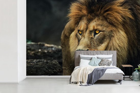 Papier peint - Papier peint photo Lion - Portrait - Sauvage - Largeur 420 cm x hauteur 280 cm
