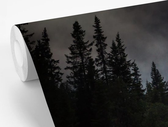 Papier fotobehang Photo Zwart et blanc d'une forêt brumeuse en Norvège
