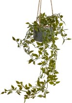 Hangmand - Hang Ficus - Hangplant in pot - Aan Touw 55cm - Kunststof Plant in pot - Plantenhanger