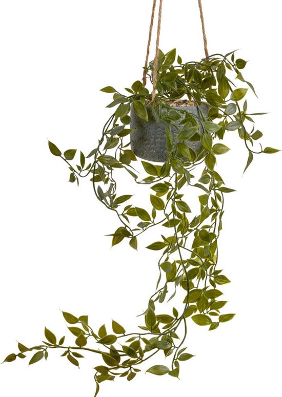 Panier suspendu - Hang Ficus - Plante suspendue en pot - Sur corde 55cm - Plante en plastique en pot - Cintre pour plantes