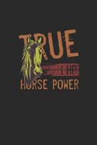 1Hp True Horse Power