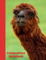 Composition Notebook