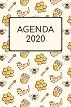 Agenda 2020