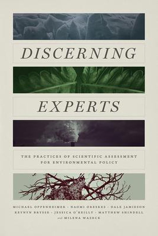 Discerning Experts - cover