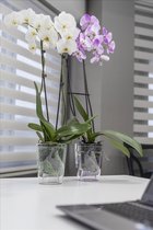 3st Transparante bloempotten voor orchideeën of planten en bloemen 3L