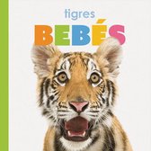 Tigres Bebes