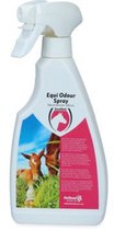 Excellent Odour Spray - Anti insect - 500 ml