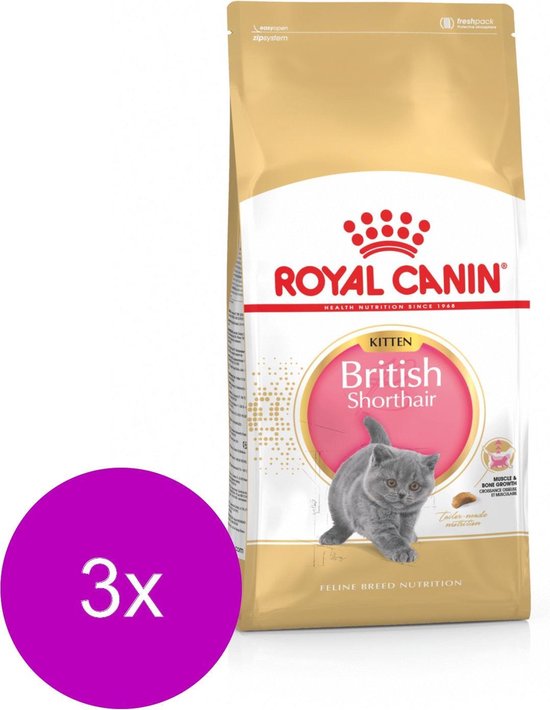 Royal Canin British Shorthair Kitten - Kitten-Kattenvoer - 3 x 2 kg