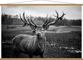 Schoolplaat – Aankijkend hert (zwart/wit) - 120x80cm Foto op Textielposter (Wanddecoratie op Schoolplaat)