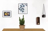 Cactus Opuntia Monacantha - Schijfcactus - ±25 cm hoog – 12cm diameter - in bruine mand