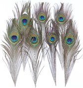 WiseGoods Luxe Pauwen Veren - Woondecoratie - Blauwe Vogel Veren - Pauw - Slaapkamer Decoratie - Lange Pouwenveren - 10 Stuks