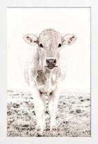 JUNIQE - Poster in houten lijst Blonde Cattle Maverick -30x45 /Ivoor