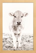 JUNIQE - Poster in houten lijst Blonde Cattle Maverick -40x60 /Ivoor