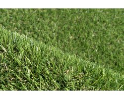 Kunstgras 4 x 6 meter - 20mm - Nederlandse Productie - Uitgeroepen zachtste Grastapijt | Waterdoorlatend | Tuin | Kind | Dier