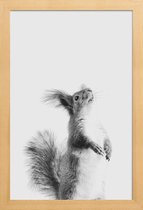 JUNIQE - Poster in houten lijst Red Squirrel III -30x45 /Grijs