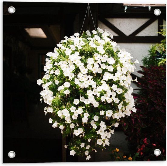 Tuinposter – Hangplant met Witte Bloemetjes - 50x50cm Foto op Tuinposter  ... | bol