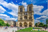Kathedraal van de Notre-Dame in centrum van Parijs - Foto op Tuinposter - 225 x 150 cm