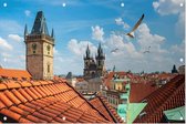 Klokkentoren en Tynsky kathedraal in zomers Praag - Foto op Tuinposter - 90 x 60 cm
