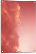 Tuinposter – Roze Wolken - 60x90cm Foto op Tuinposter  (wanddecoratie voor buiten en binnen)