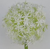 Fabulous Flowers - alliumbol Ø 12 cm wit - Kunsttakken online