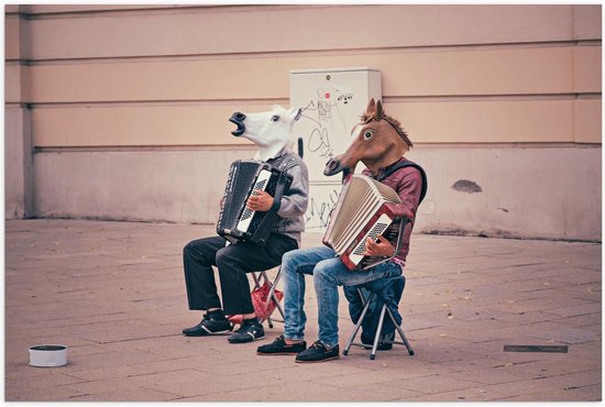Poster – Paarden Spelend op Accordeon  - 60x40cm Foto op Posterpapier