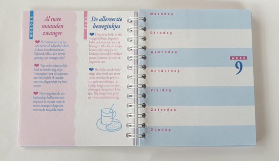 9 maanden Mini agenda , Dagboek, Zwangerschap, Cadeau | bol.com