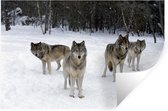 Sticker Muursticker Loups - Pack de loups au Canada - 120x80 cm - feuille autocollante - sticker mural repositionnable