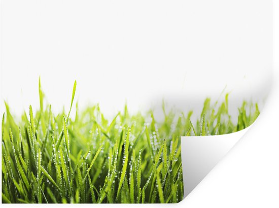 Muurstickers - Sticker Folie - Helder groene gras bedekt met vroege dauw - 80x60 cm - Plakfolie - Muurstickers Kinderkamer - Zelfklevend Behang - Zelfklevend behangpapier - Stickerfolie