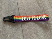 Key Clip Love is Love |LGBTQ | pride regenboog