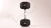 Fitally - Dumbbells set 20kg - 2x 10kg - Hexa Dumbbells - Gewichten - Hexa Halters - Dumbbell set