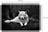 Wolf - SnowWhite - Canvasdoek - woonkamer - schilderijen - schilderdoek - Slaapkamer - wandpaneel - Canvas