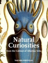 Natural Curiosities