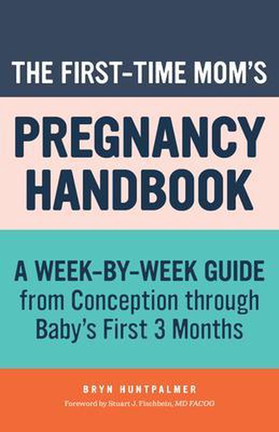 First Time Moms The First Time Moms Pregnancy Handbook Bryn