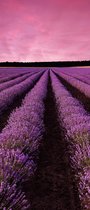 Lavendel Veld deurposter 95x215cm