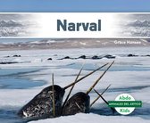 Animales del Ártico (Arctic Animals)- Narval (Narwhal)